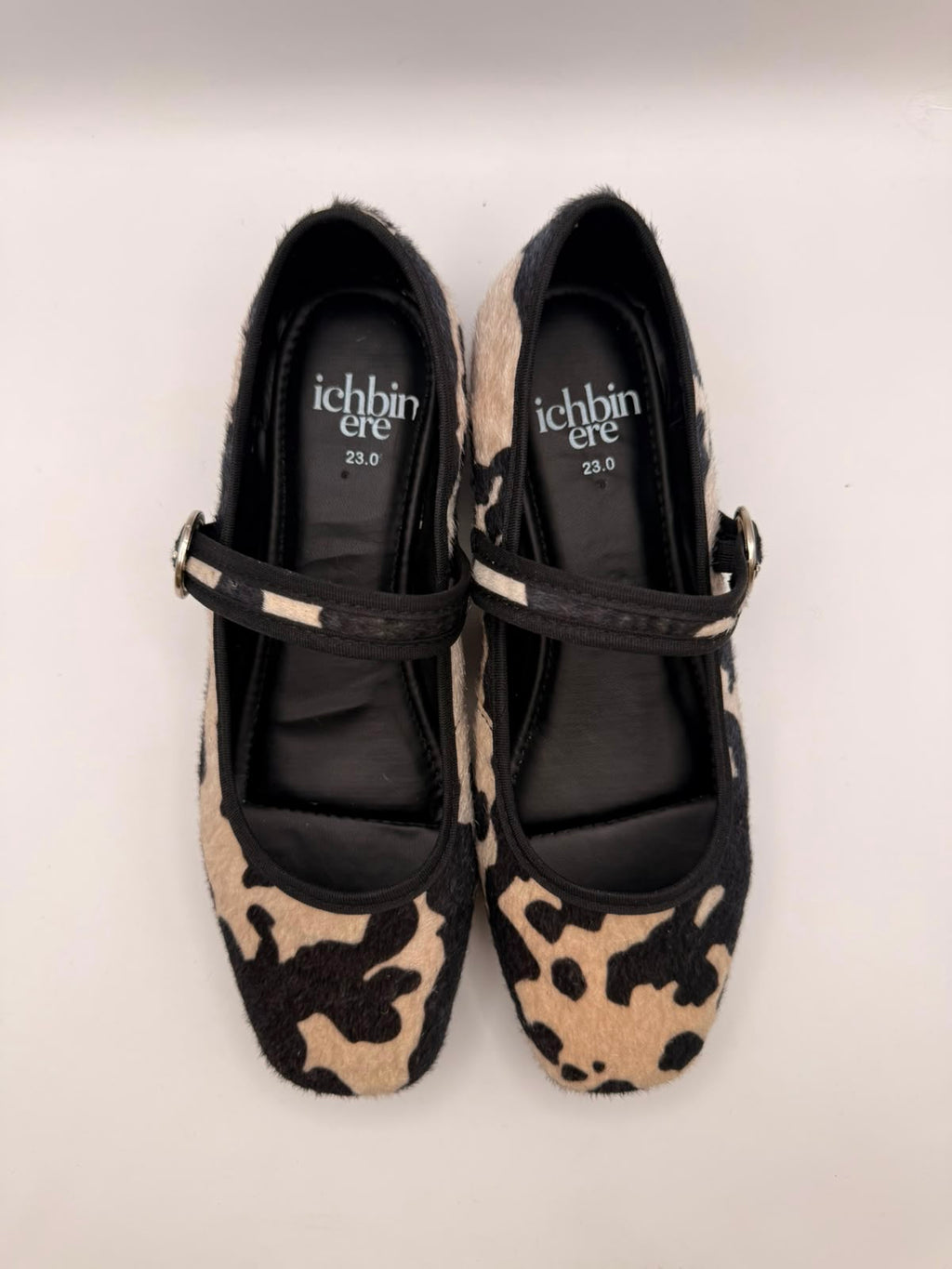 MARY JANE DAKOTA — COW PRINT